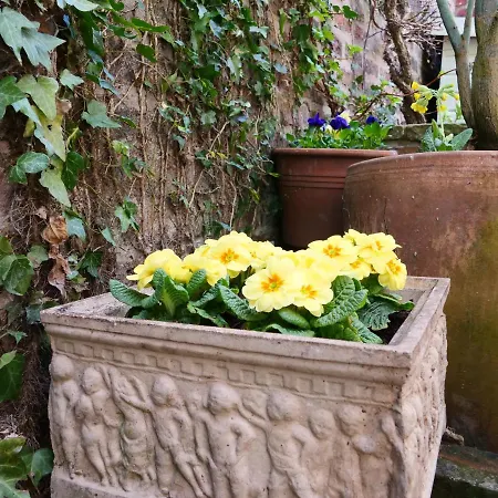 Courtyard - Free Parking Tatil Evi York