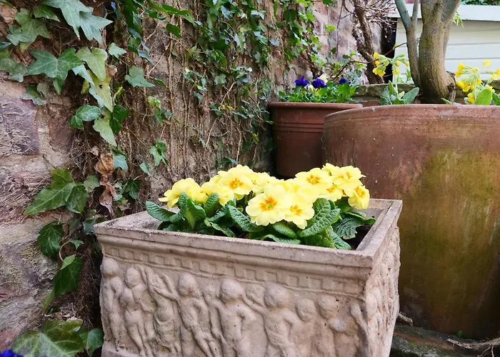 Courtyard - Free Parking 別荘 ヨーク